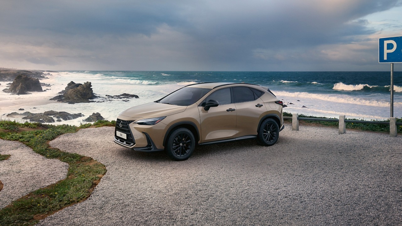 Lexus NX 350h Overtrail an einem Strand